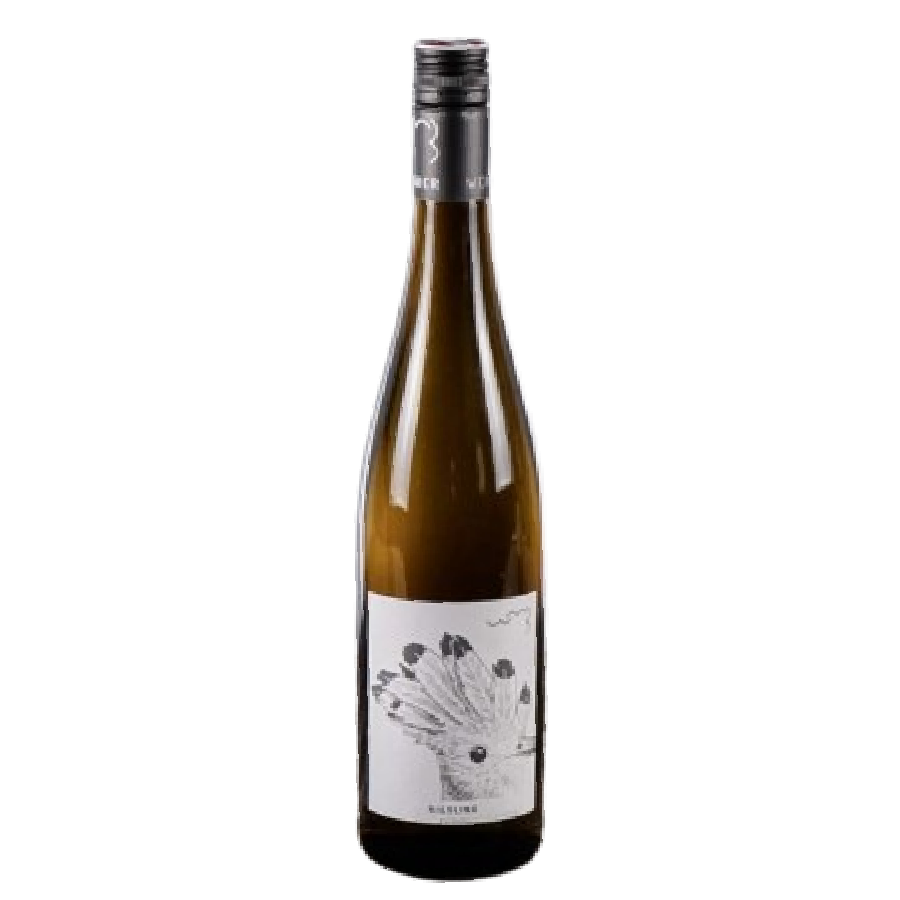 Weingut Michael Bauer Riesling Ruppersthal 2021