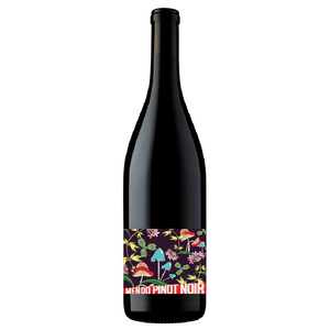 Mendo Pinot Noir Mendocino’s Coastal Vineyards, Leo Steen 2020