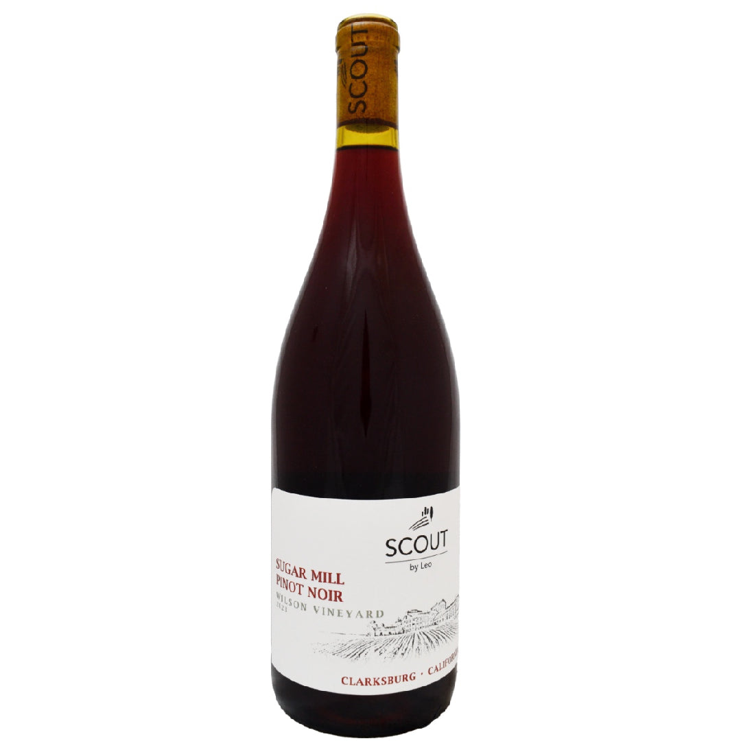 Scout - Sugar Mill Pinot Noir 2023