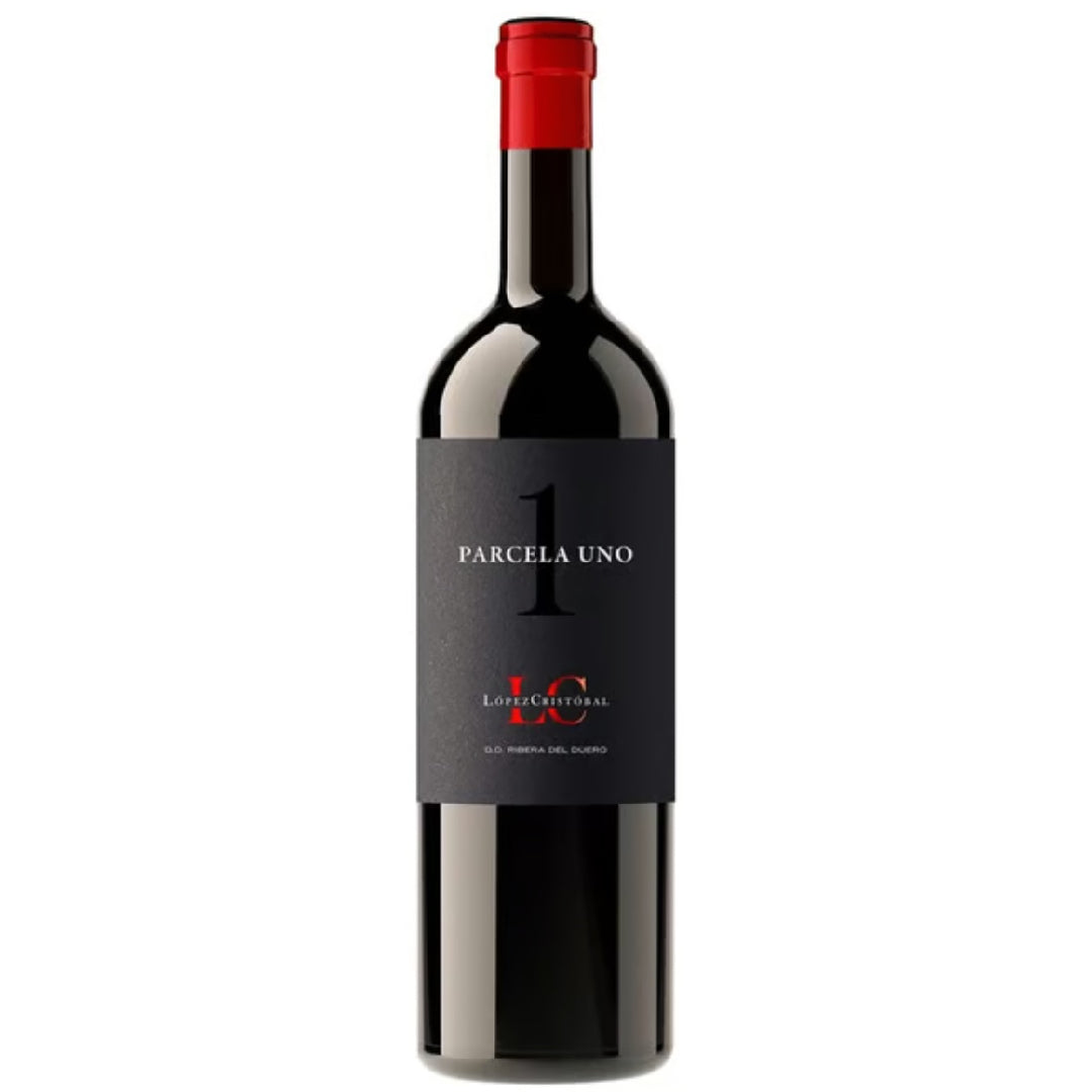 Lopez Cristobal Parcela Uno 2021